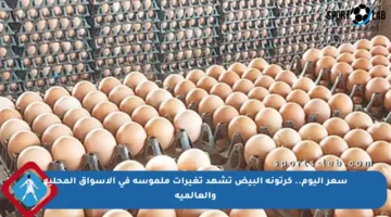 سعر اليوم.. كرتونة البيض تشهد تغيرات ملموسة في الأسواق المحلية والعالمية